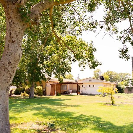 Aliyah Return Center Bed and Breakfast Degania Bet Buitenkant foto