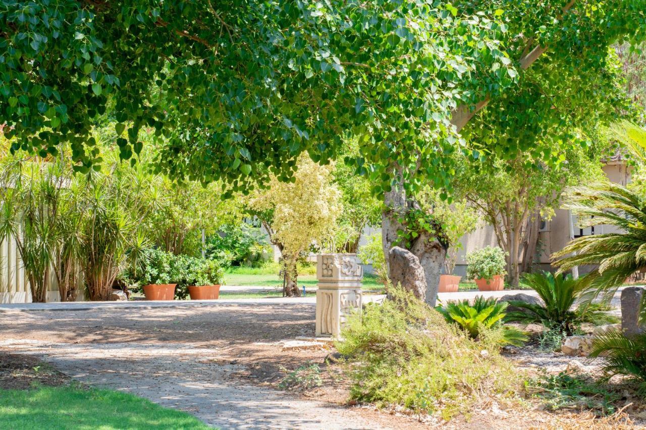 Aliyah Return Center Bed and Breakfast Degania Bet Buitenkant foto