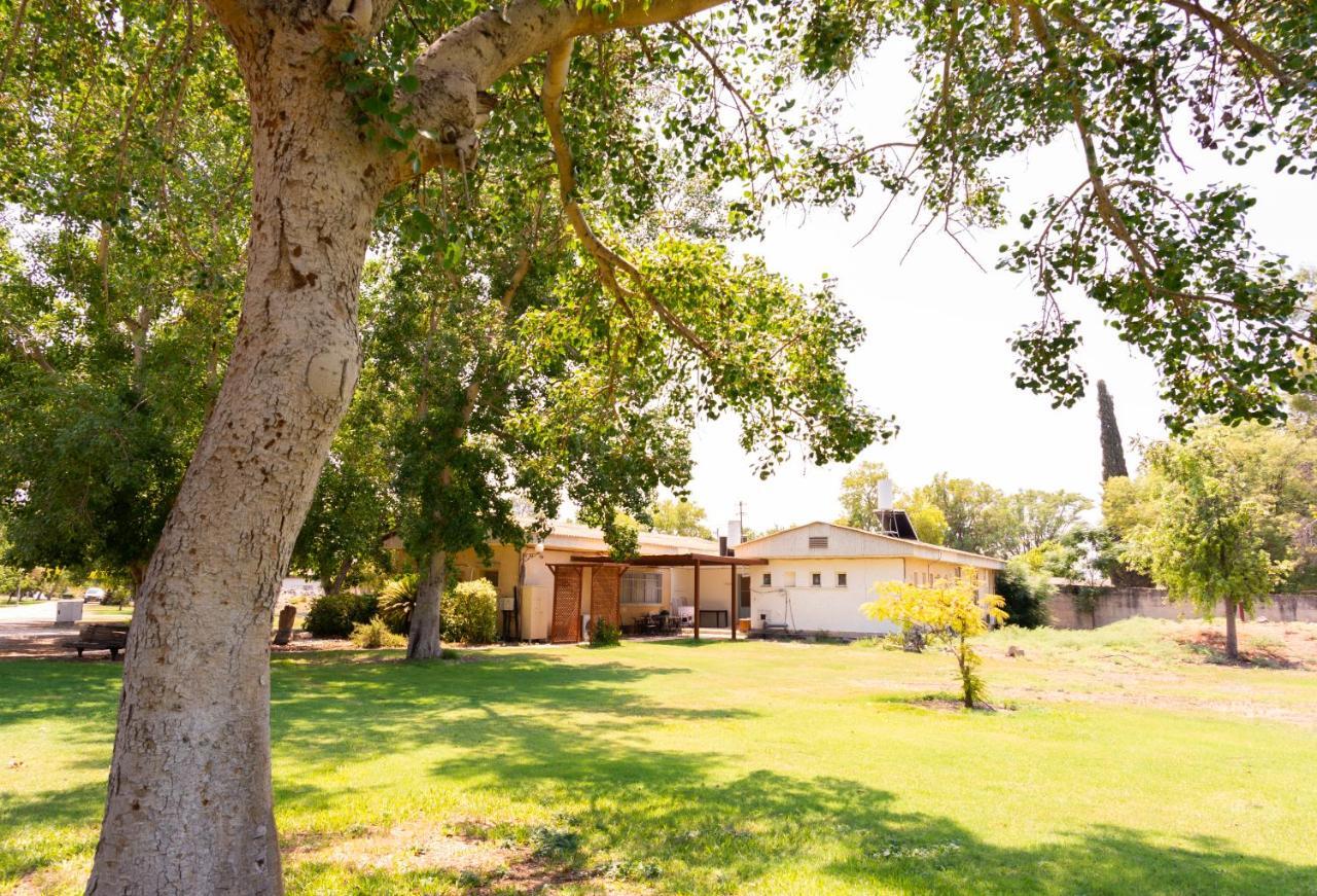 Aliyah Return Center Bed and Breakfast Degania Bet Buitenkant foto
