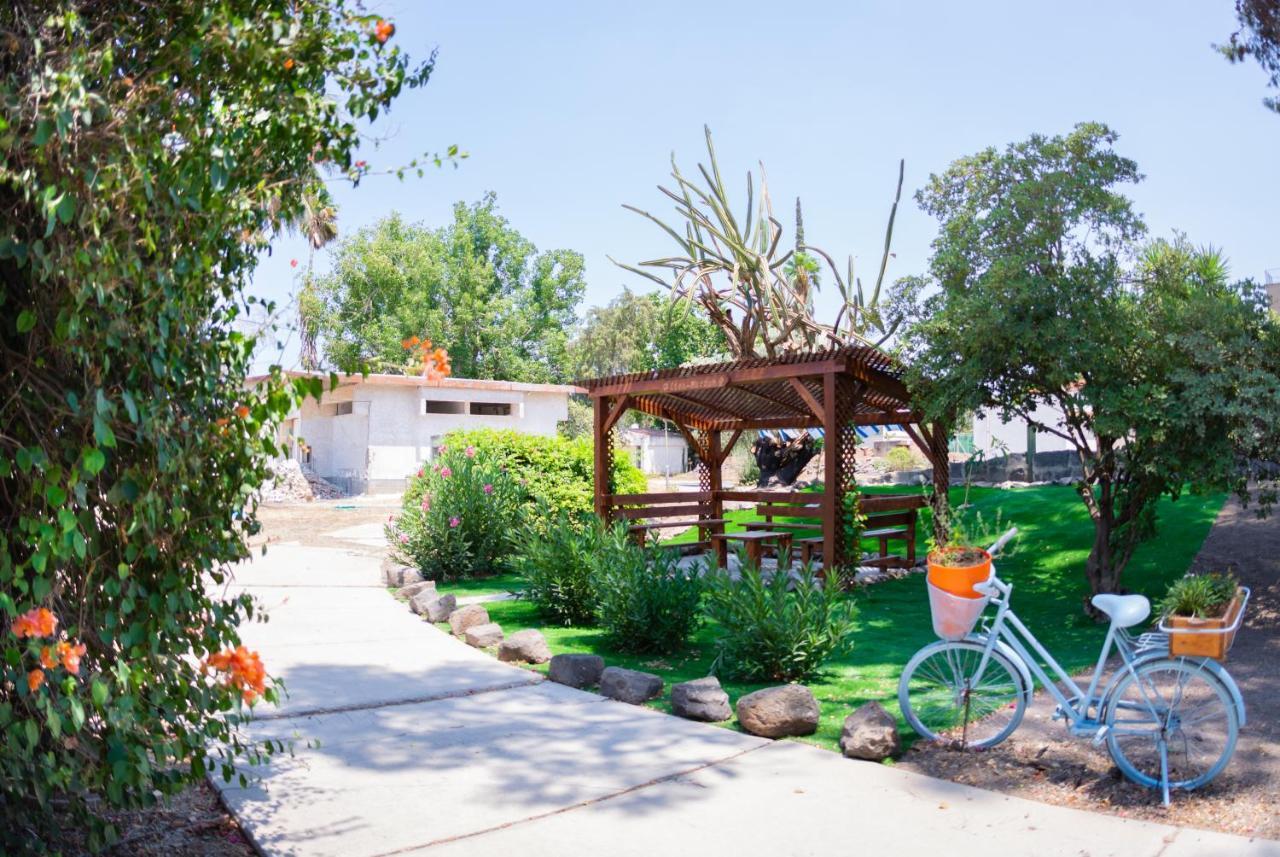 Aliyah Return Center Bed and Breakfast Degania Bet Buitenkant foto