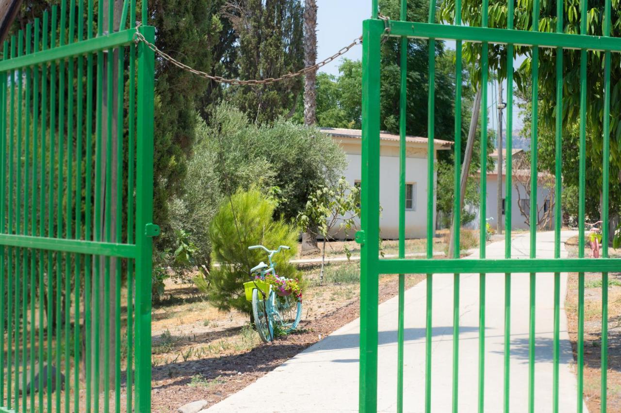 Aliyah Return Center Bed and Breakfast Degania Bet Buitenkant foto